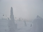 Highlight for Album: BigWhite/Kelowna BC, Feb 04