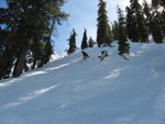IMG_0573_hz.JPG