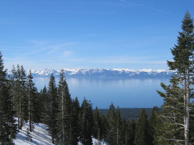 IMG_9523_hz.JPG