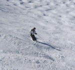 IMG_9566_hz_resized.jpg