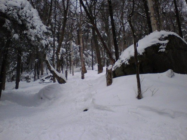 0413071147.jpg