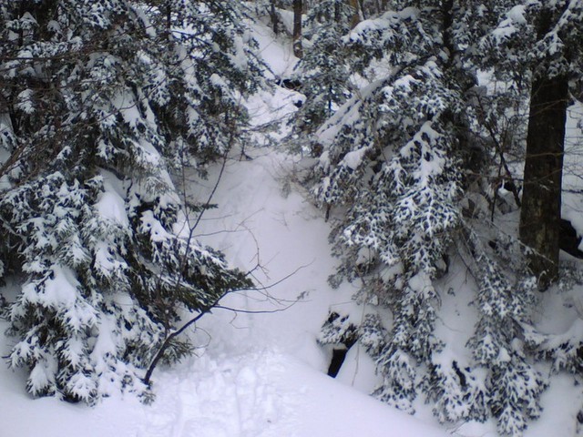 0413071222.jpg