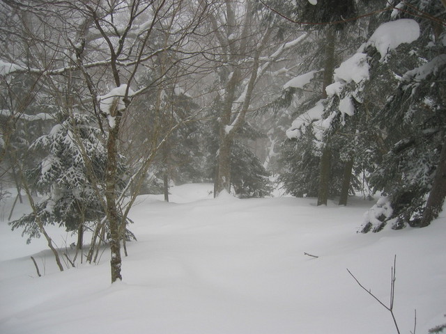 IMG_9623_hz.JPG