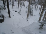 IMG_9630_hz.JPG