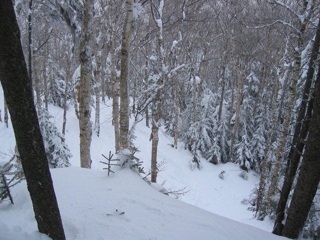 IMG_9631_hz.JPG