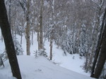 IMG_9631_hz.JPG