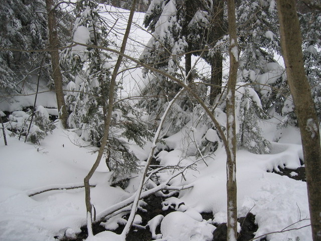IMG_9634_hz.JPG