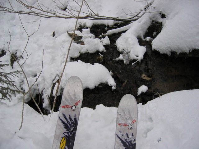 IMG_9636_hz.JPG
