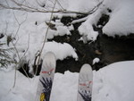 IMG_9636_hz.JPG