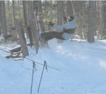 Highlight for Album: Sleds and Kickers Feb 2004