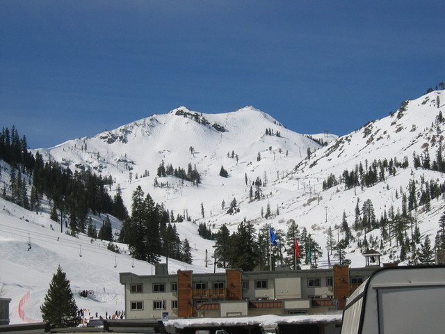 IMG_9382_hz.JPG
