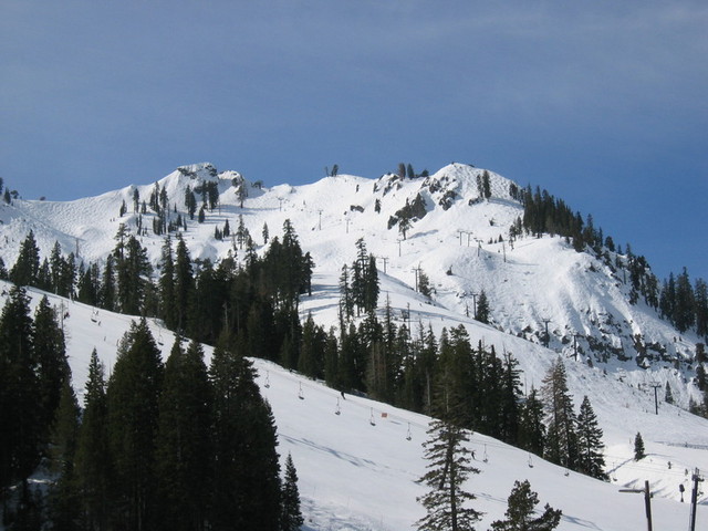 IMG_9383_hz.JPG