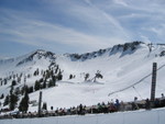 IMG_9390_hz.JPG