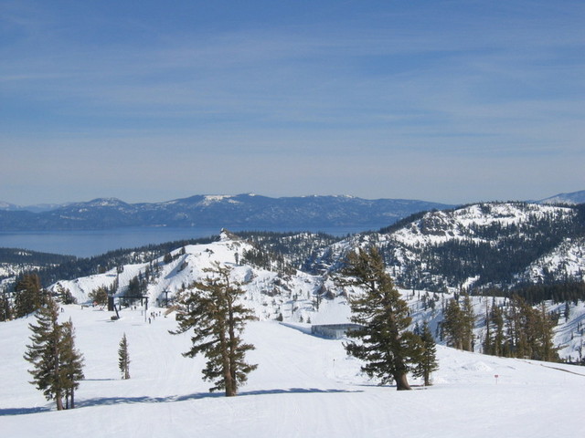 IMG_9445_hz.JPG
