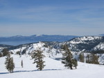 IMG_9445_hz.JPG