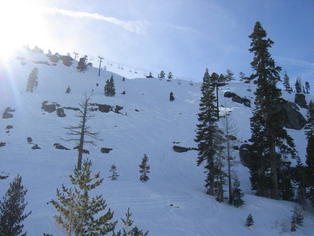 IMG_9481_hz.JPG