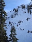 IMG_9488_hz.JPG
