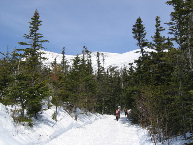 IMG_9642_hz.JPG