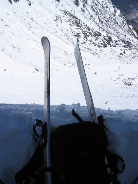 IMG_9667_hz.JPG