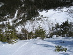 IMG_9670_hz.JPG