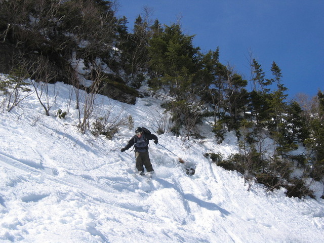 IMG_9683_hz.JPG