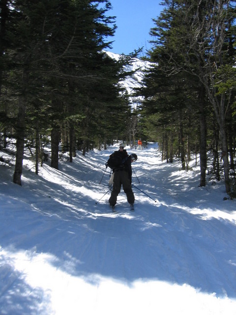 IMG_9712_hz.JPG