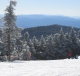 Ski Resort Cams